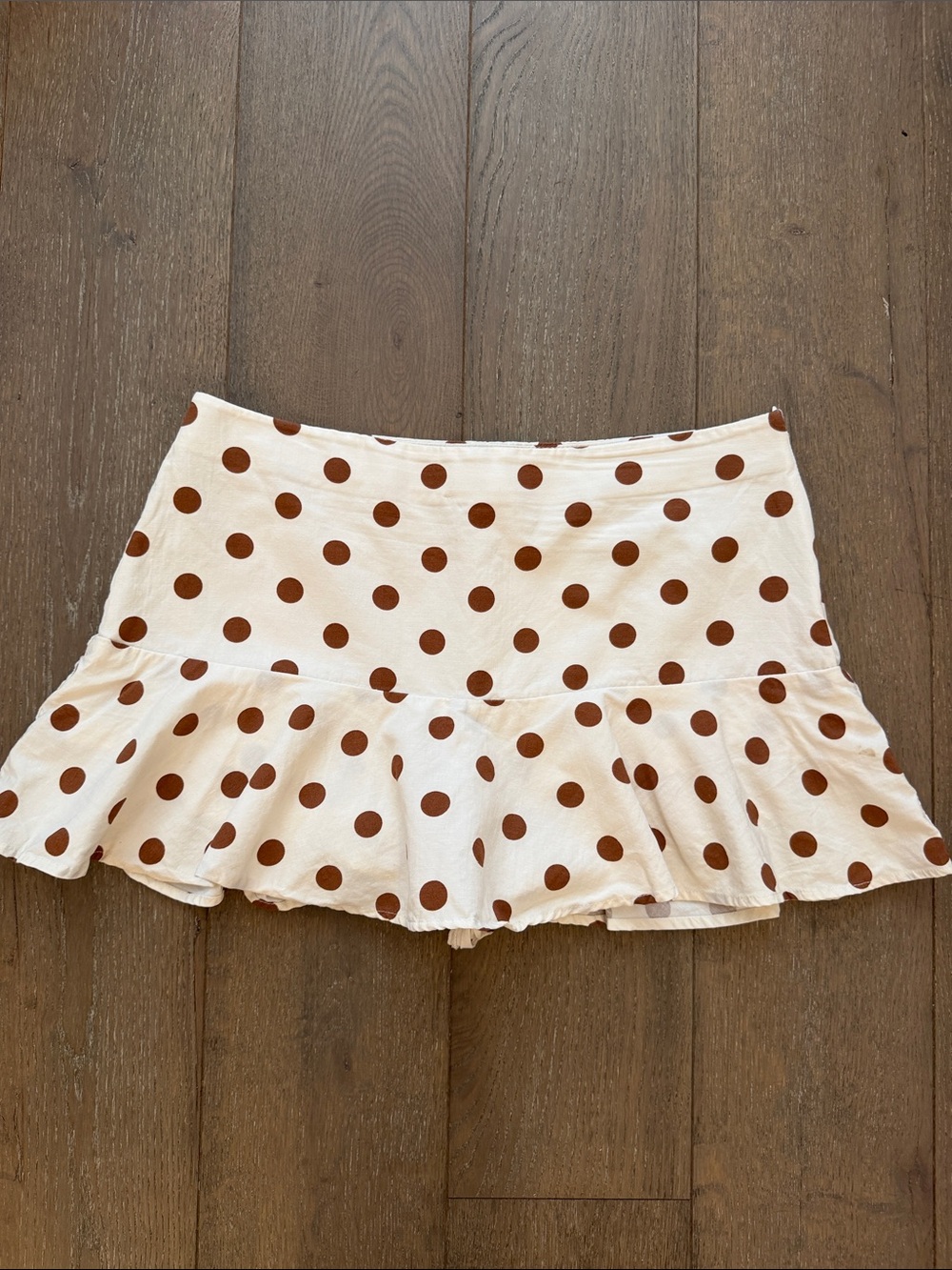 Zara Polka Dot Skirt